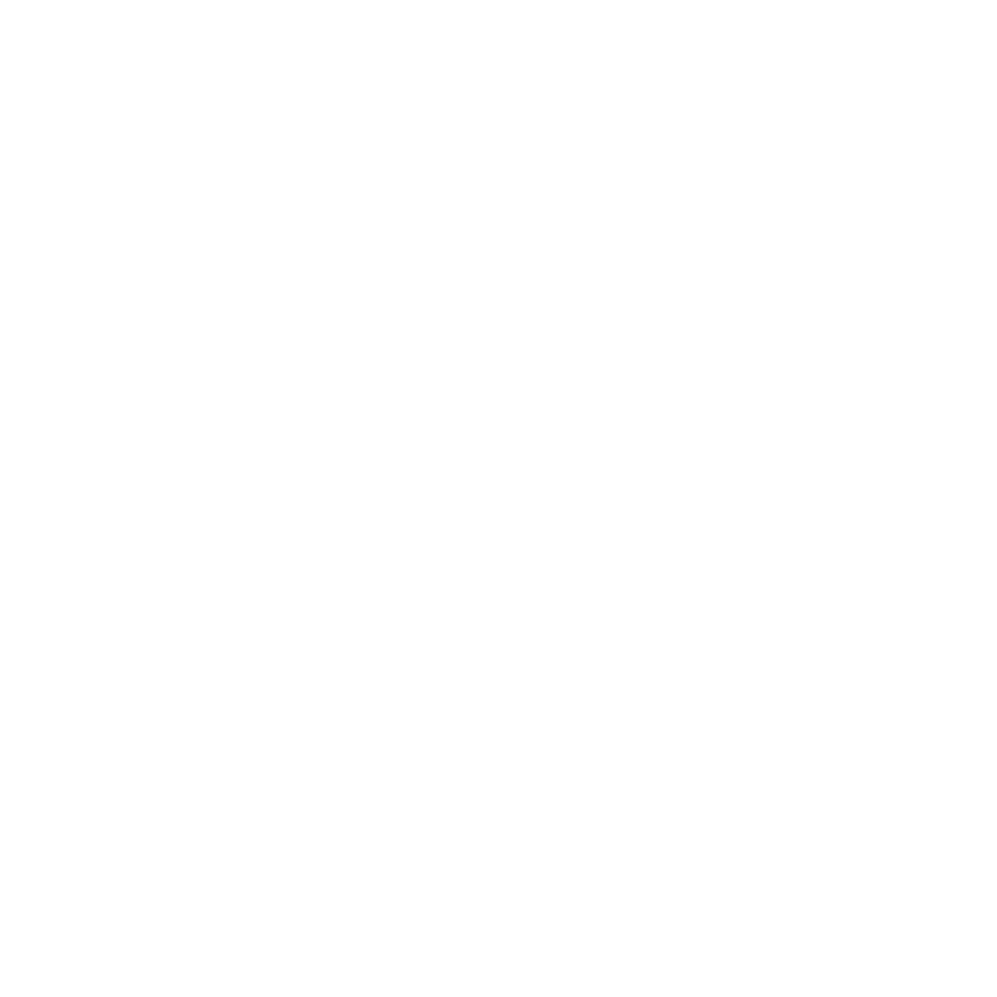 Salina Information Technology